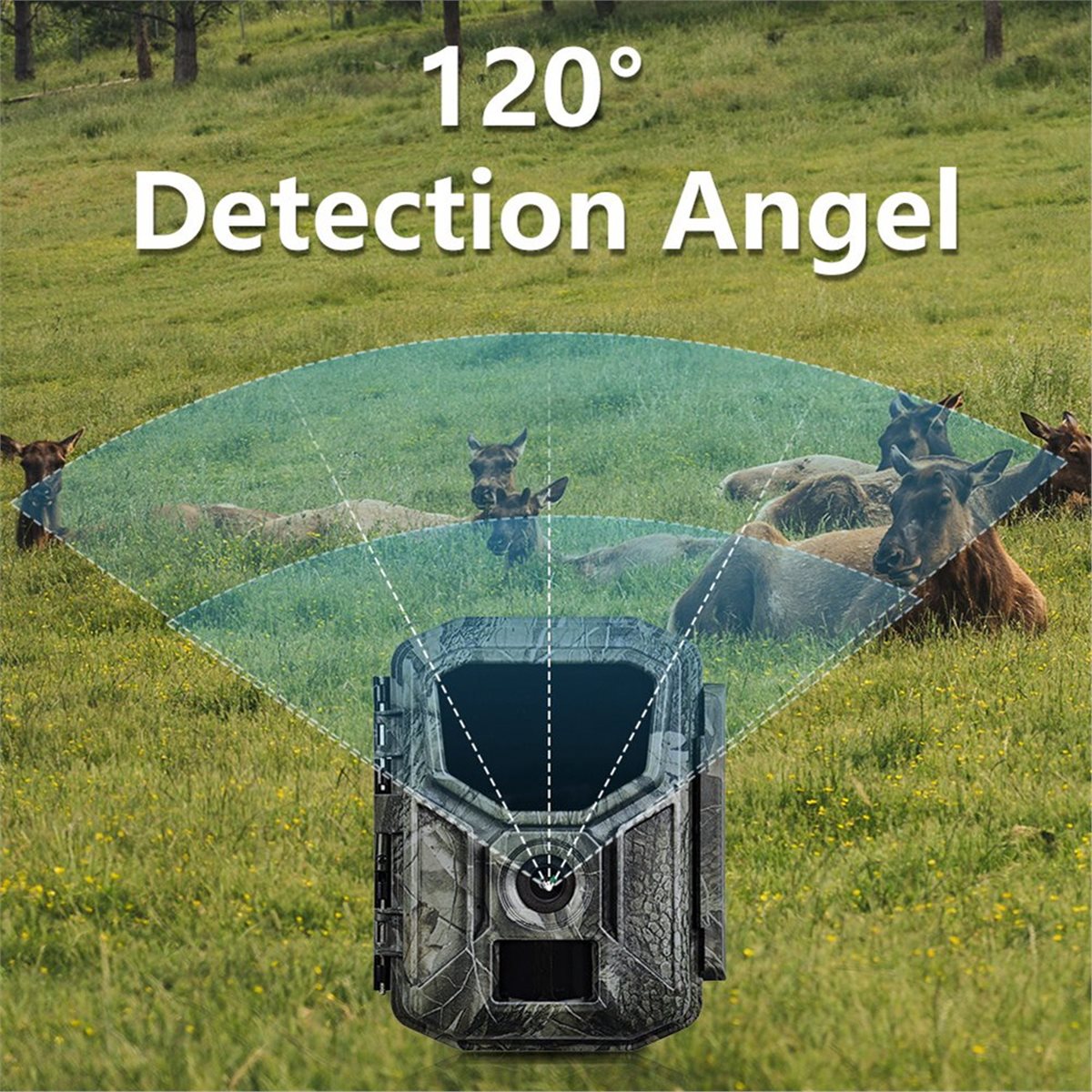 Hunting Outdoor Rug - Kamera Berburu 8K HD, Monitor Satwa