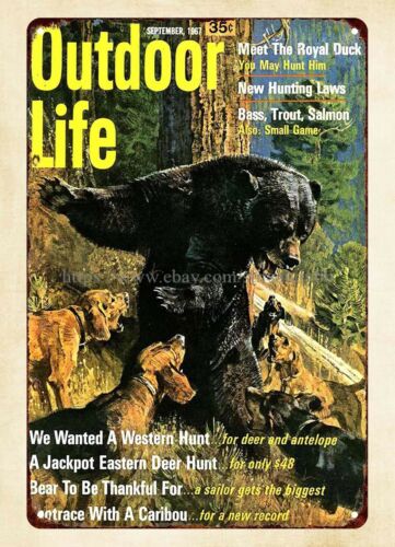Dekorasi dinding kantor 1967 O - Hunting Dog Outdoor ulasan dan harga