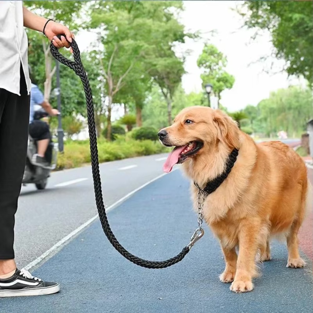 Tali Anjing Besar Tahan Lama,  - Hunting Dog Outdoor ulasan dan harga