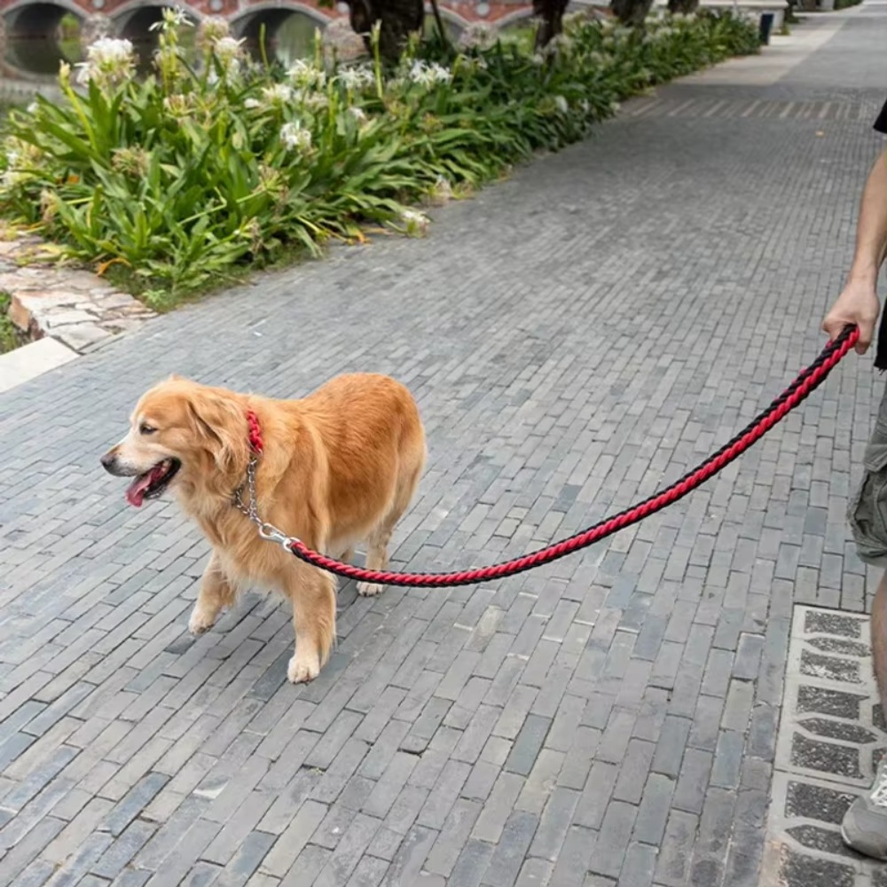 Tali Anjing Besar Tahan Lama,  - Hunting Dog Outdoor ulasan dan harga